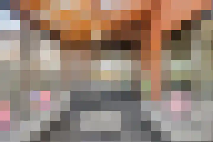 Piccolostraat 1 Goes thumbnail 30
