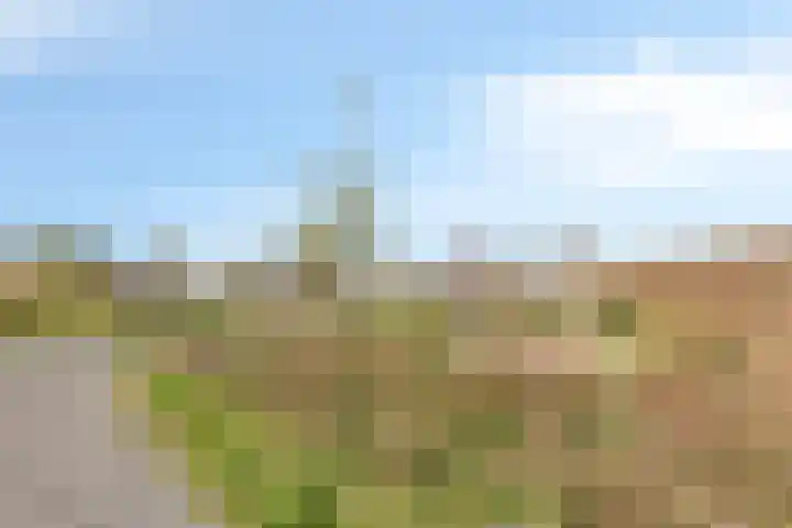 Piccolostraat 1 Goes thumbnail 41