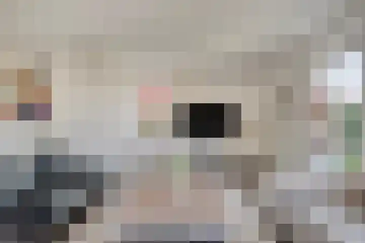 Piccolostraat 1 Goes thumbnail 6