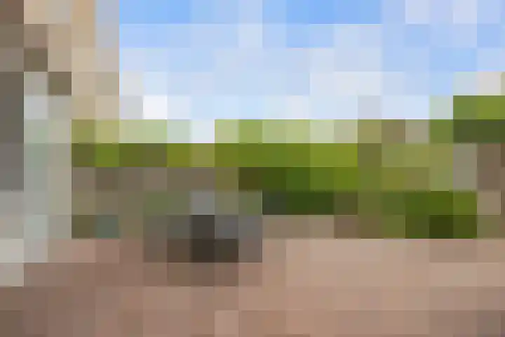 Piccolostraat 45 Almere thumbnail 32
