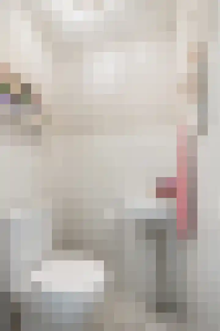 Piccolostraat 45 Almere thumbnail 8