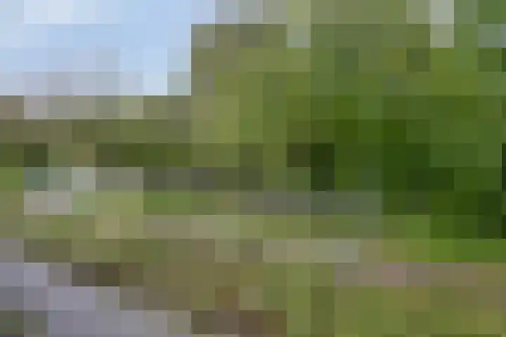 Piccolostraat 61 Almere thumbnail 31