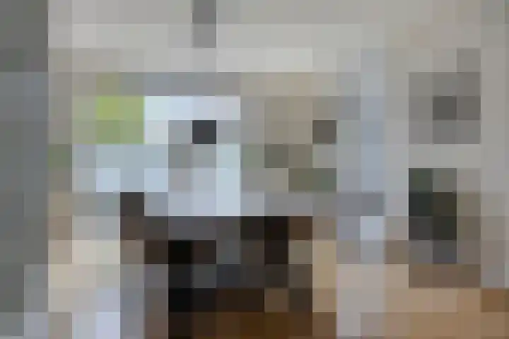 Piccolostraat 61 Almere thumbnail 9