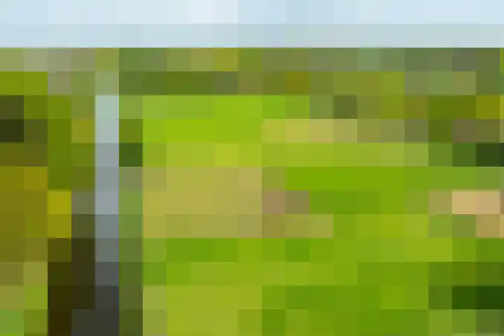 Piepersweg 12 Aalten thumbnail 11