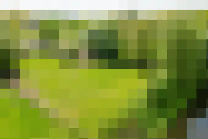 Piepersweg 12 Aalten thumbnail 13