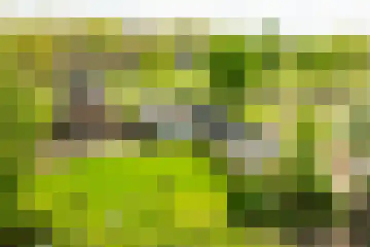 Piepersweg 12 Aalten thumbnail 14
