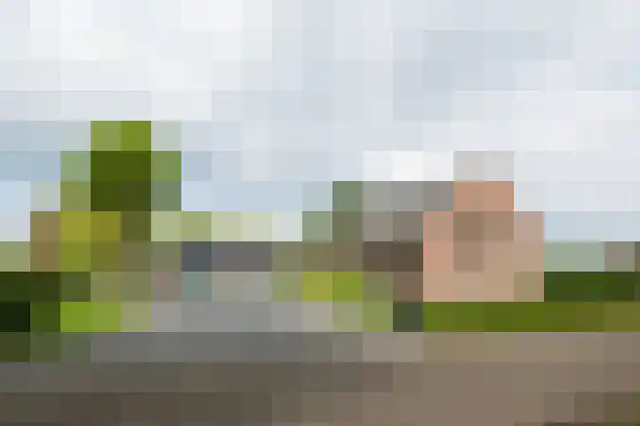 Piepersweg 12 Aalten thumbnail 16