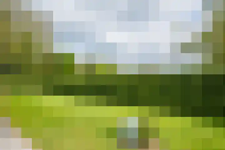Piepersweg 12 Aalten thumbnail 20