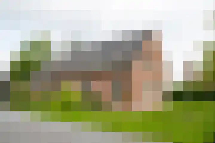 Piepersweg 12 Aalten thumbnail 23