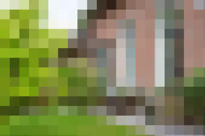 Piepersweg 12 Aalten thumbnail 25