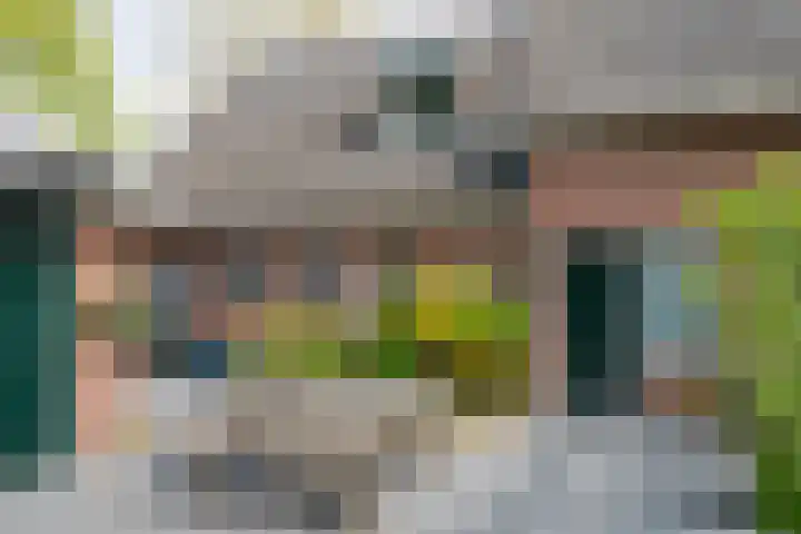 Piepersweg 12 Aalten thumbnail 30