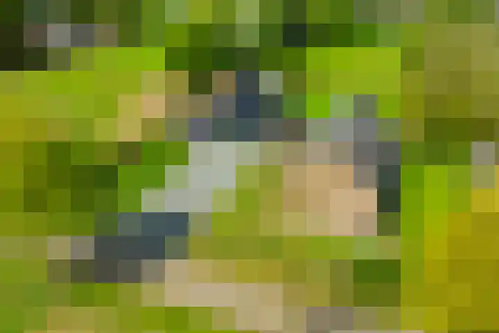 Piepersweg 12 Aalten thumbnail 4