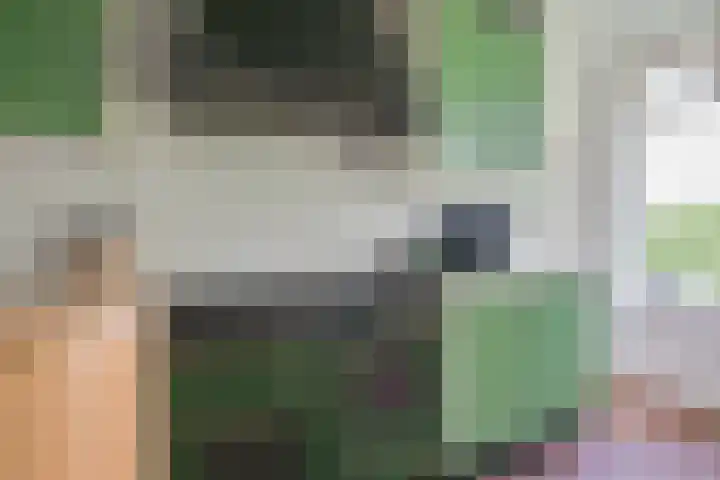 Piepersweg 12 Aalten thumbnail 43