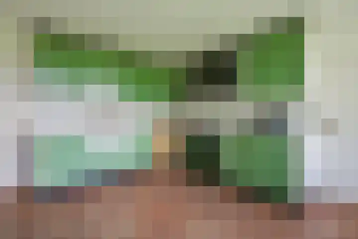 Piepersweg 12 Aalten thumbnail 44