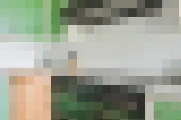 Piepersweg 12 Aalten thumbnail 45