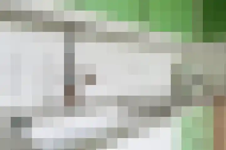 Piepersweg 12 Aalten thumbnail 48