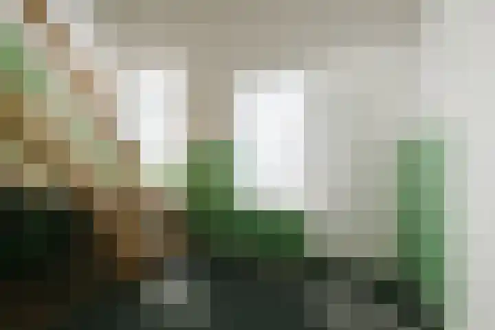 Piepersweg 12 Aalten thumbnail 49