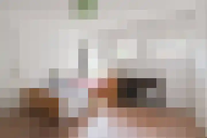 Piepersweg 12 Aalten thumbnail 55
