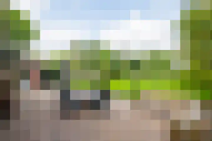 Piepersweg 12 Aalten thumbnail 76