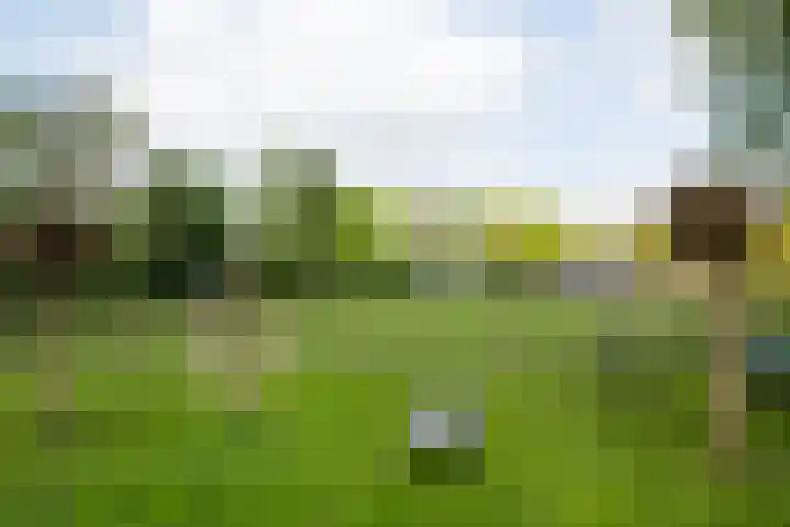 Piepersweg 12 Aalten thumbnail 79