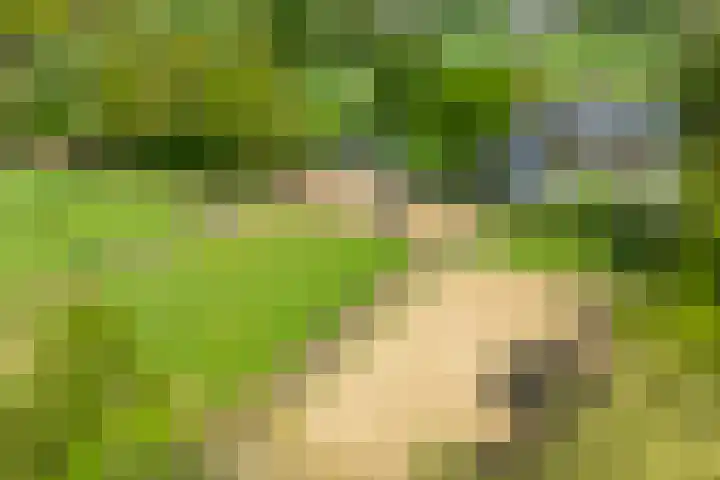 Piepersweg 12 Aalten thumbnail 8
