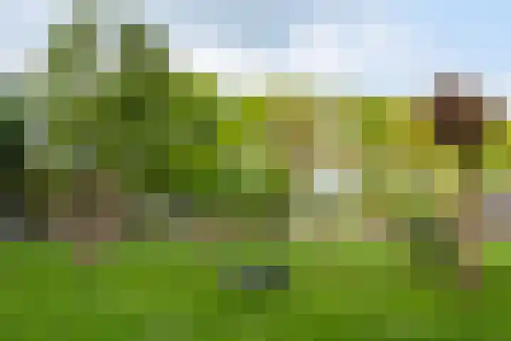 Piepersweg 12 Aalten thumbnail 80