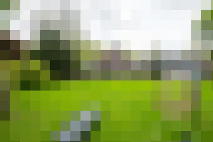 Piepersweg 12 Aalten thumbnail 82