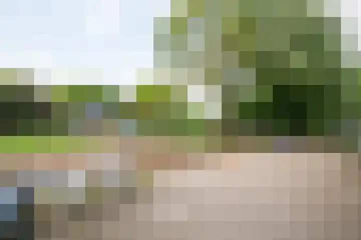 Piepersweg 12 Aalten thumbnail 86