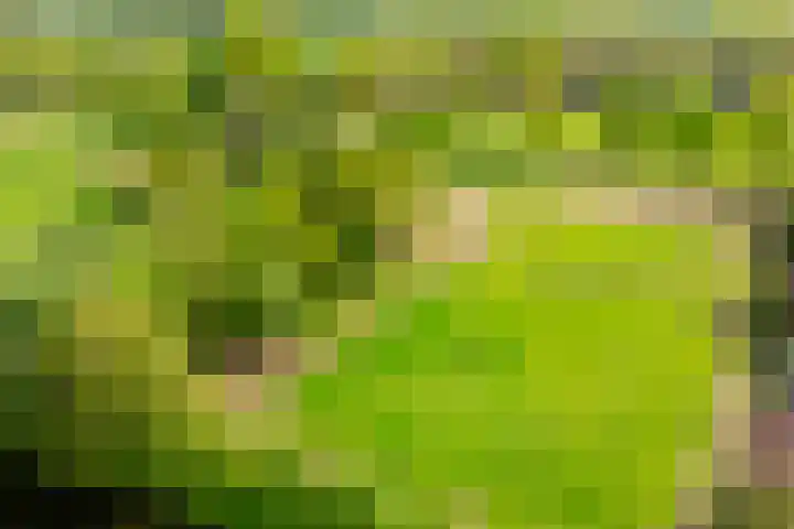 Piepersweg 12 Aalten thumbnail 9