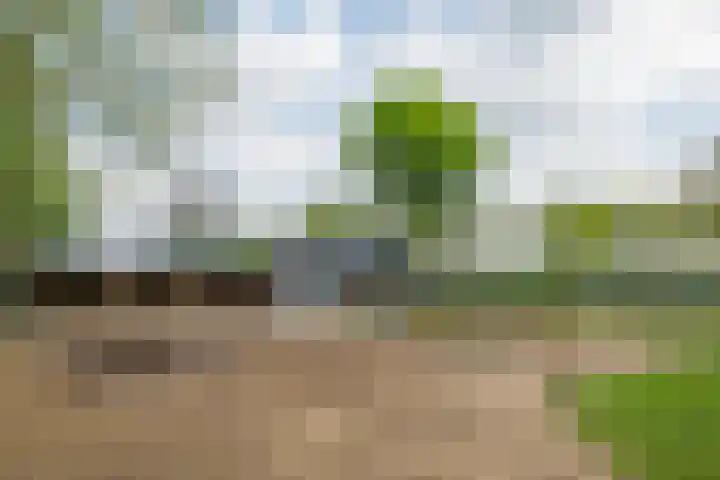 Piepersweg 12 Aalten thumbnail 94