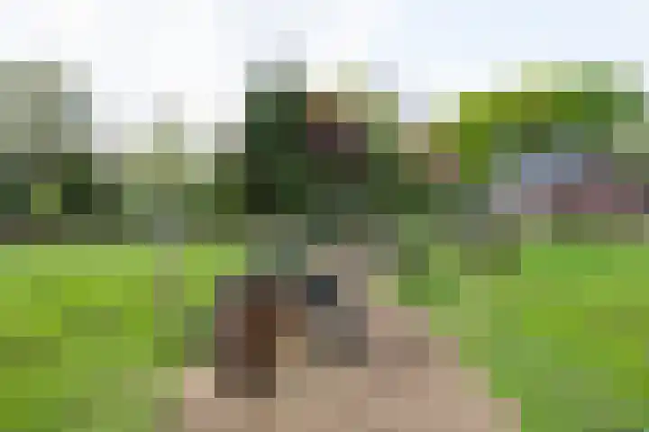 Piepersweg 12 Aalten thumbnail 95