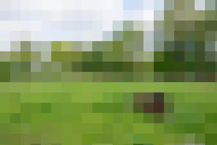 Piepersweg 12 Aalten thumbnail 96