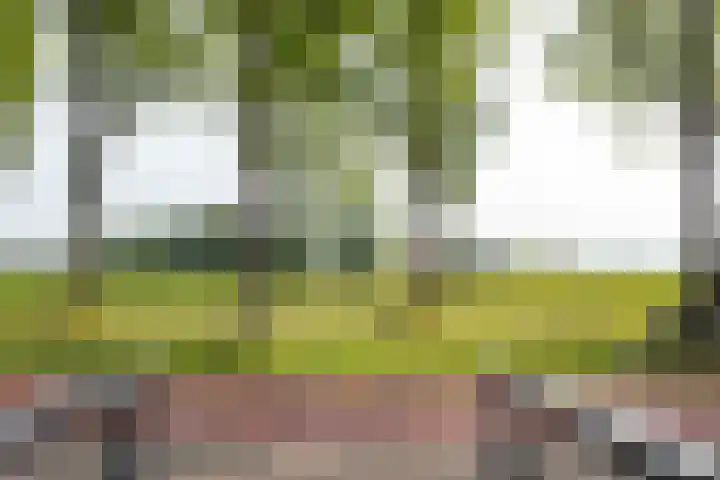 Pier Thomasstrjitte 13 Wytgaard thumbnail 14