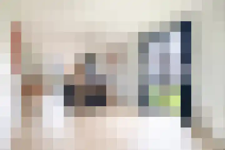 Pier Thomasstrjitte 13 Wytgaard thumbnail 25