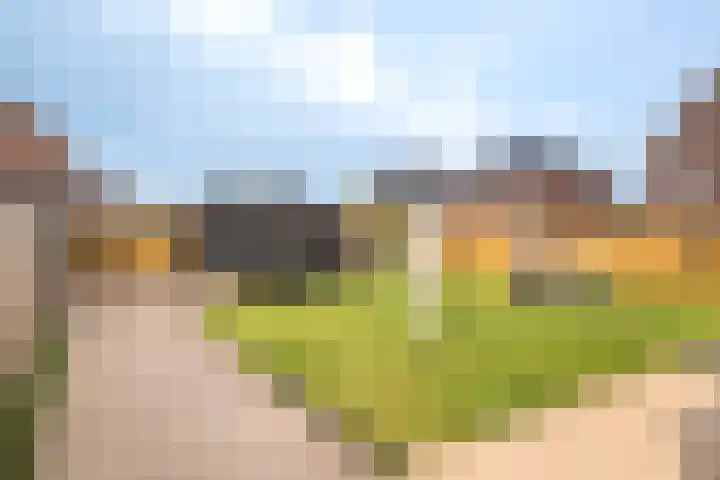 Pier Thomasstrjitte 13 Wytgaard thumbnail 38