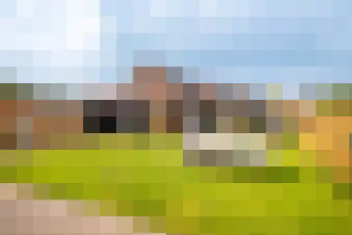 Pier Thomasstrjitte 13 Wytgaard thumbnail 41