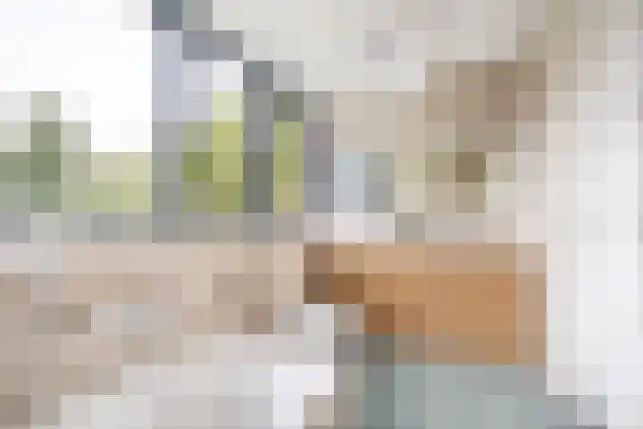 Pier Thomasstrjitte 13 Wytgaard thumbnail 51
