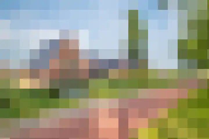 Pier Thomasstrjitte 13 Wytgaard thumbnail 8