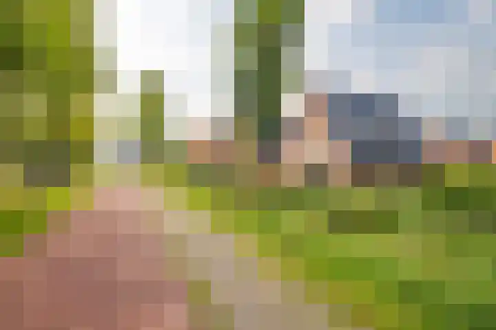 Pier Thomasstrjitte 13 Wytgaard thumbnail 9