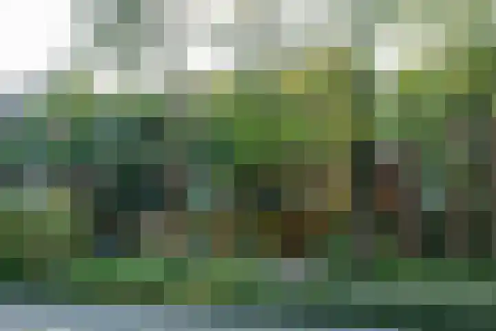 Pierebaan 7 Monnickendam thumbnail 18