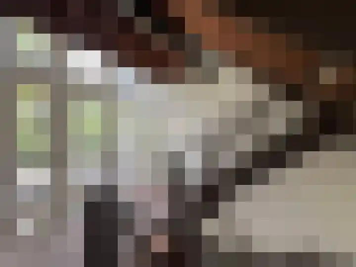 Pierebaan 75 Monnickendam thumbnail 20