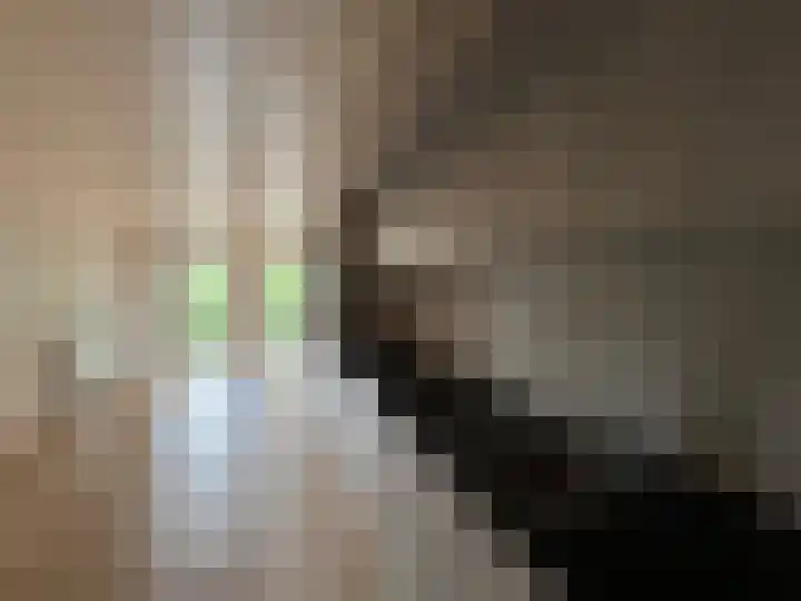 Pierebaan 75 Monnickendam thumbnail 9