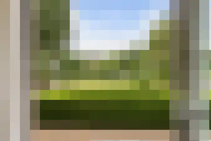 Pierestraat 11 Rucphen thumbnail 13