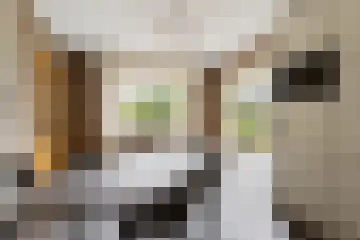 Pierestraat 11 Rucphen thumbnail 16