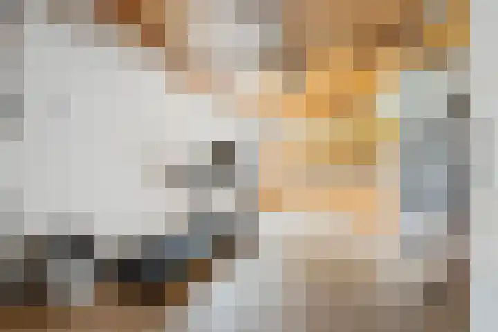 Pierestraat 11 Rucphen thumbnail 24