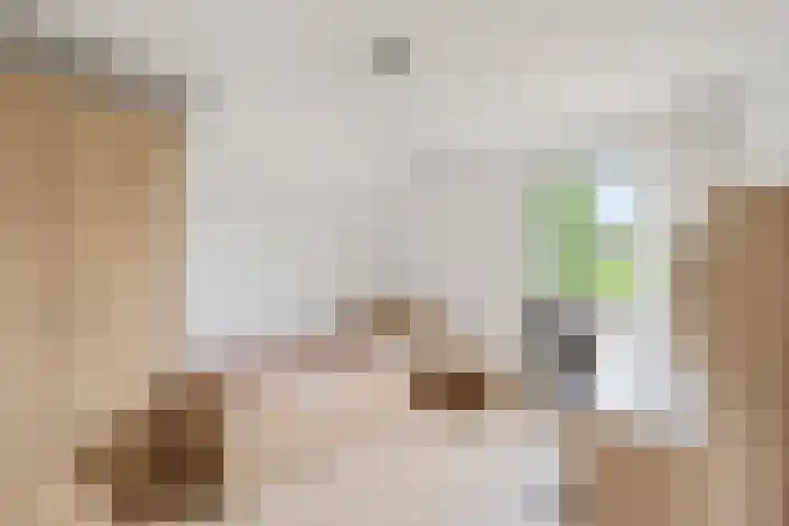 Pierestraat 11 Rucphen thumbnail 25