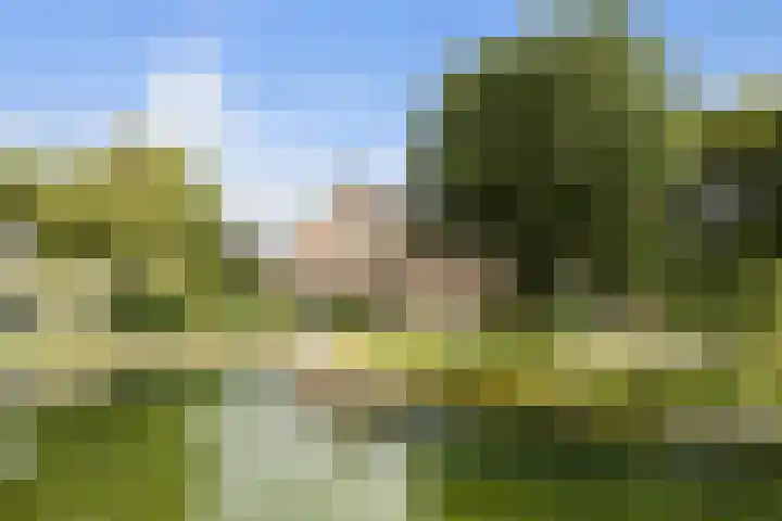 Pierestraat 11 Rucphen thumbnail 35
