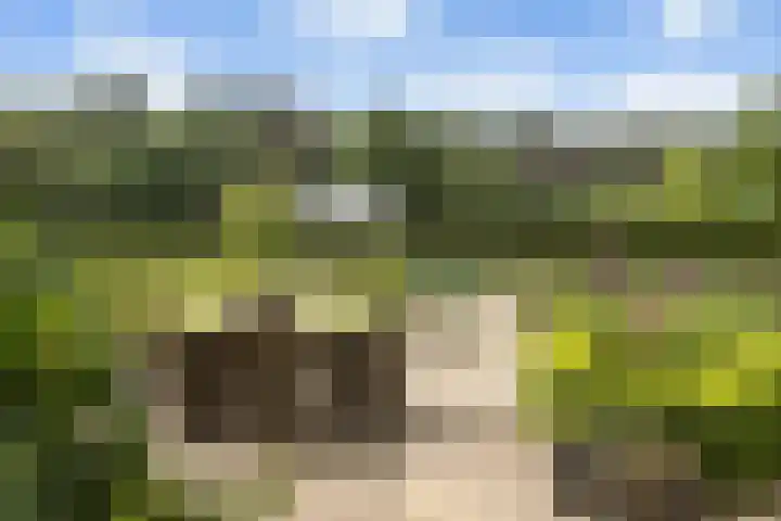 Pierestraat 11 Rucphen thumbnail 38