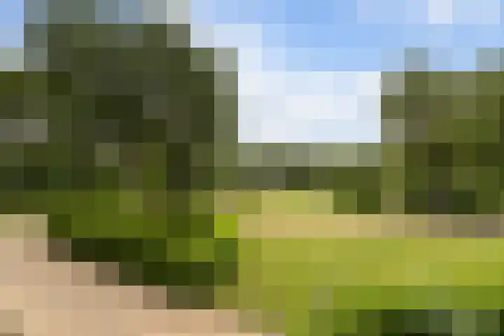 Pierestraat 11 Rucphen thumbnail 39