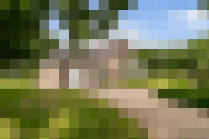 Pierestraat 11 Rucphen thumbnail 4
